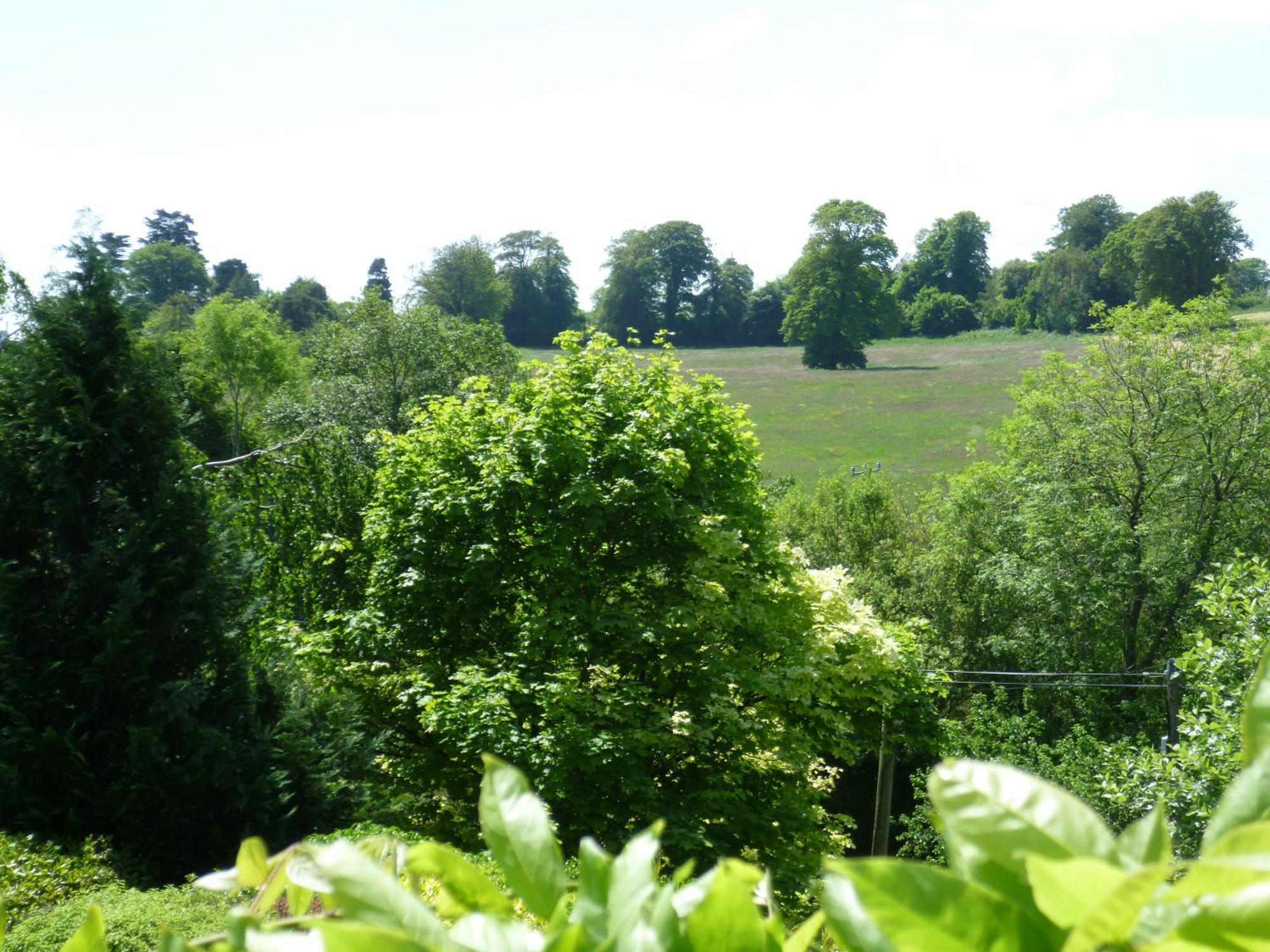 Diamond Hill Country House Waterford Zewnętrze zdjęcie