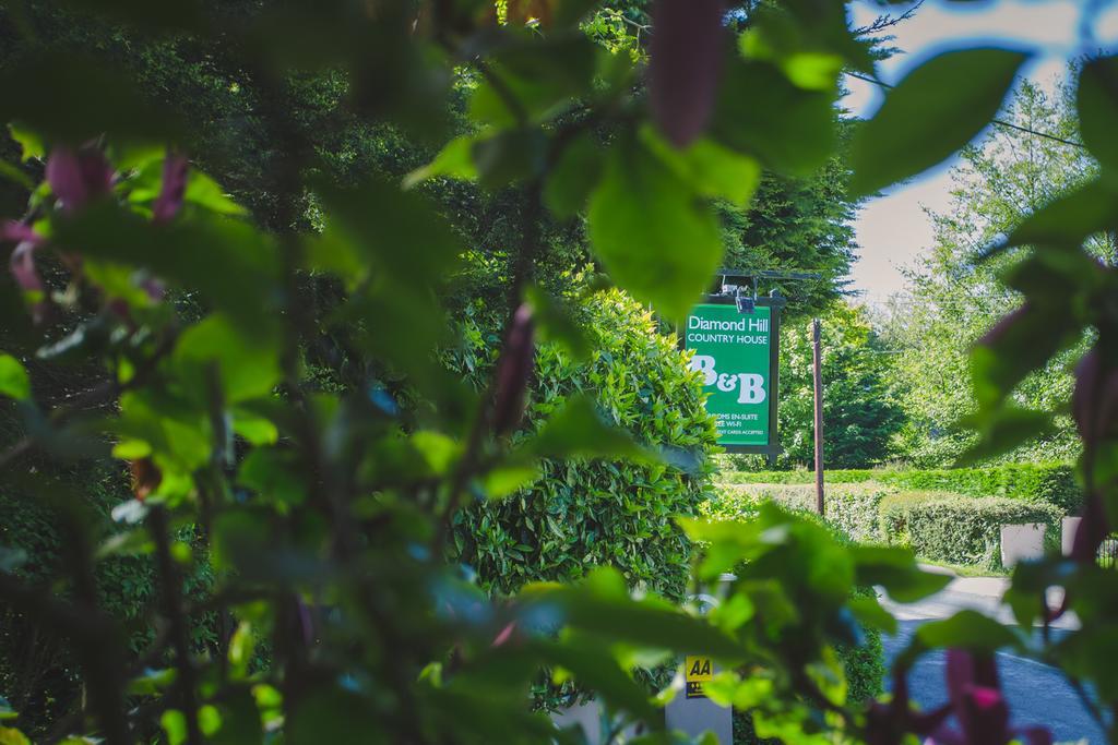 Diamond Hill Country House Waterford Zewnętrze zdjęcie
