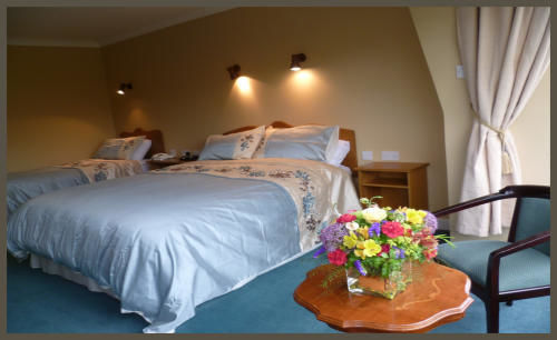Diamond Hill Country House Waterford Zewnętrze zdjęcie