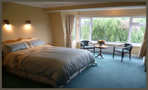 Diamond Hill Country House Waterford Zewnętrze zdjęcie